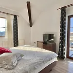 Apartment Simona Brasov