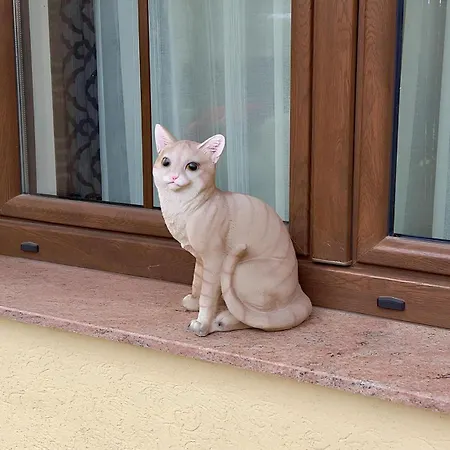 Simona * Brasov
