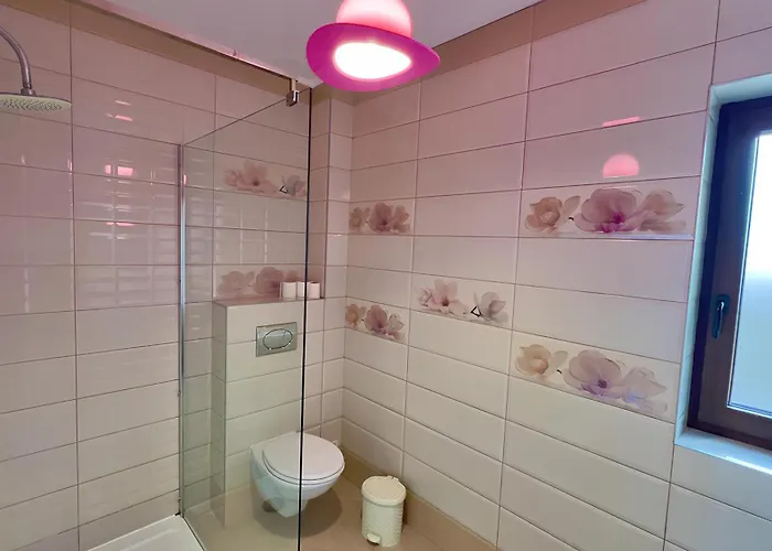 Simona Apartment Brasov