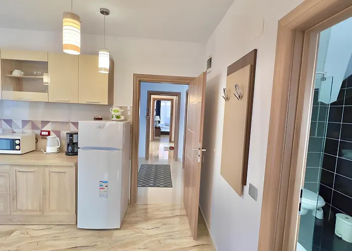 Apartment Simona Brasov