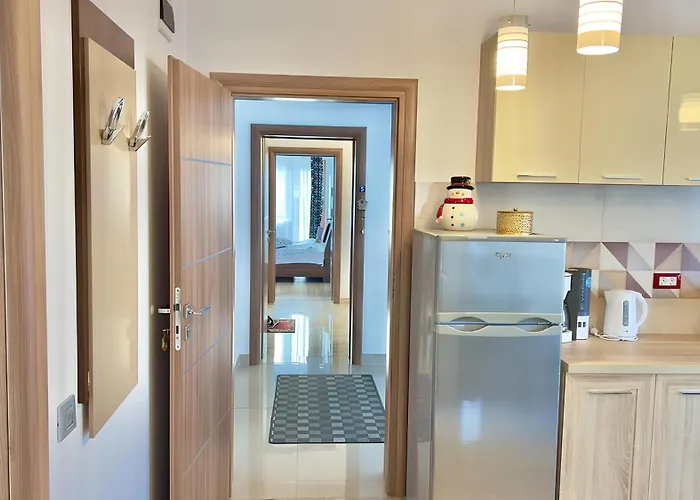 Apartment Simona Brasov