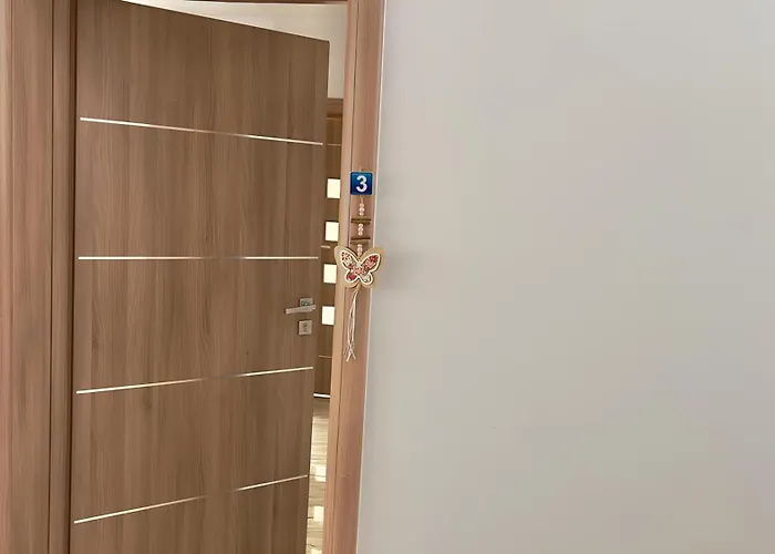 Simona Apartment Brasov